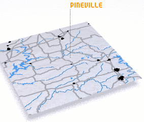 3d view of Pineville