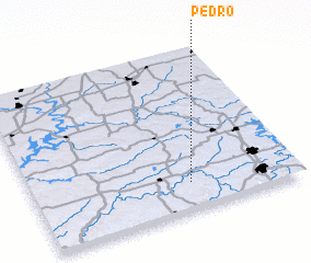 3d view of Pedro