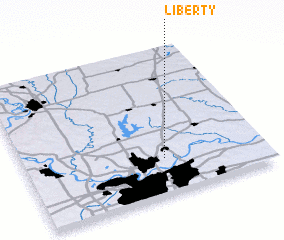 3d view of Liberty