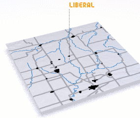 3d view of Liberal