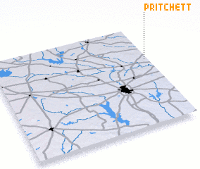 3d view of Pritchett