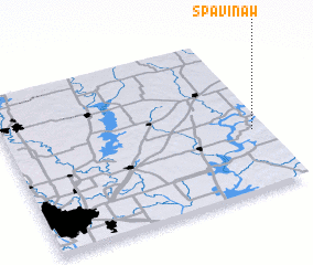 3d view of Spavinaw