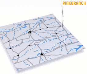 3d view of Pine Branch