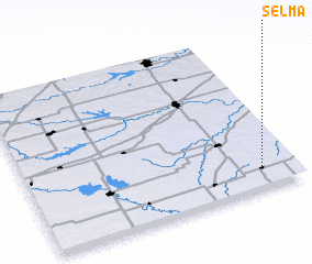 3d view of Selma