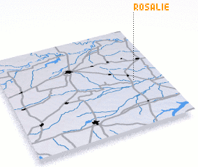 3d view of Rosalie