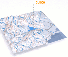 3d view of Moluco