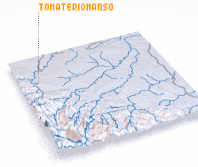 3d view of Tomate Río Manso