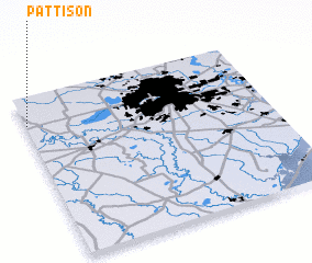 3d view of Pattison