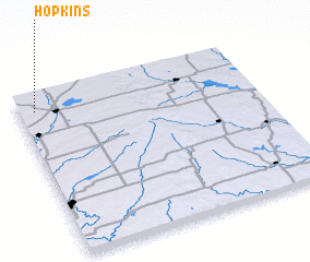 3d view of Hopkins