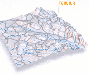 3d view of Tequila