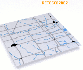 3d view of Petes Corner