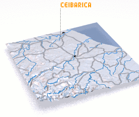 3d view of Ceiba Rica