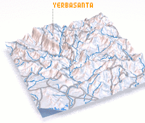 3d view of Yerba Santa