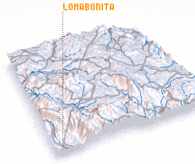 3d view of Loma Bonita