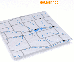 3d view of Goldenrod