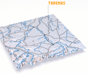 3d view of Tamemas