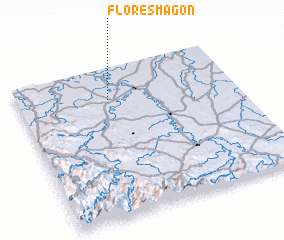 3d view of Flores Magón