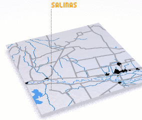 3d view of Salinas