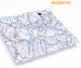 3d view of Mezquites