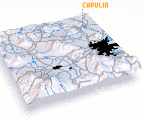 3d view of Capulín