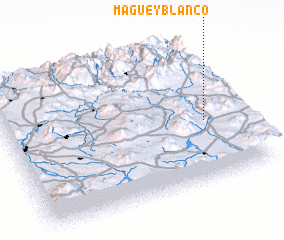 3d view of Maguey Blanco