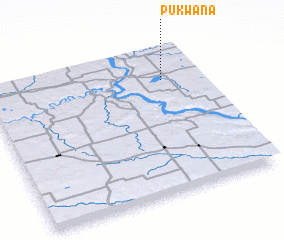 3d view of Pukwana