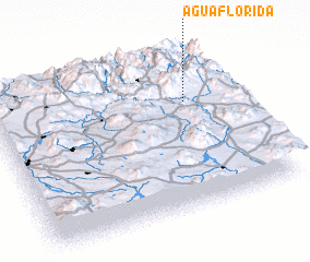 3d view of Agua Florida