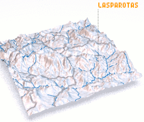 3d view of Las Parotas