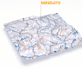 3d view of Naranjito