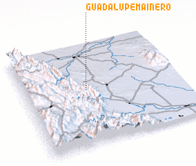 3d view of Guadalupe Mainero