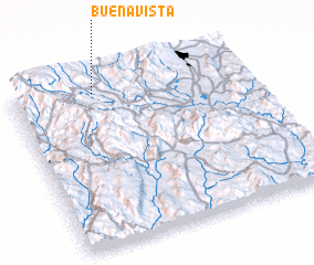 3d view of Buena Vista