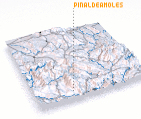 3d view of Pinal de Amoles