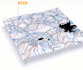 3d view of Rosa