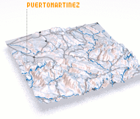 3d view of Puerto Martínez