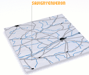 3d view of Savigny-en-véron