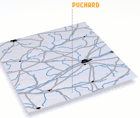 3d view of Puchard