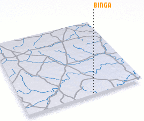 3d view of Binga