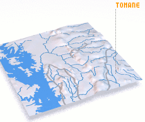 3d view of Tomané
