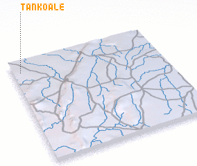 3d view of Tankoalé