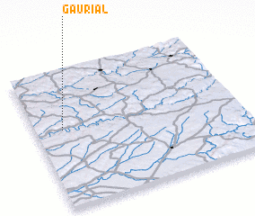 3d view of Gaurial