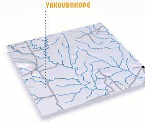 3d view of Yakoubokopé