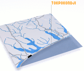 3d view of Tokpo Kondji