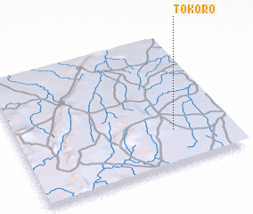 3d view of Tokoro