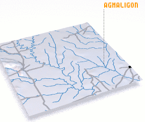 3d view of Agmaligon