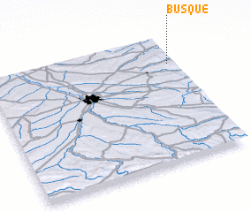 3d view of Busque