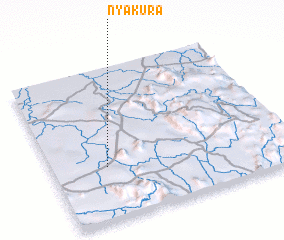 3d view of Nyakura