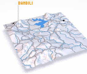 3d view of Bambili