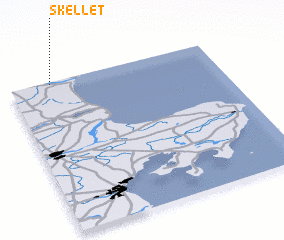 3d view of Skellet