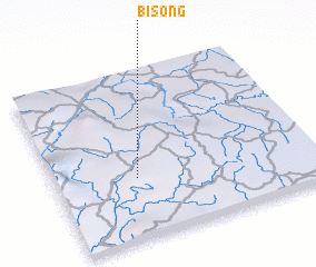 3d view of Bisong