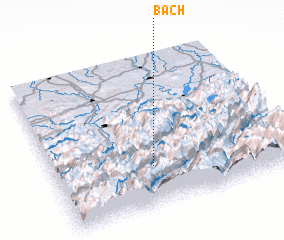 3d view of Bach